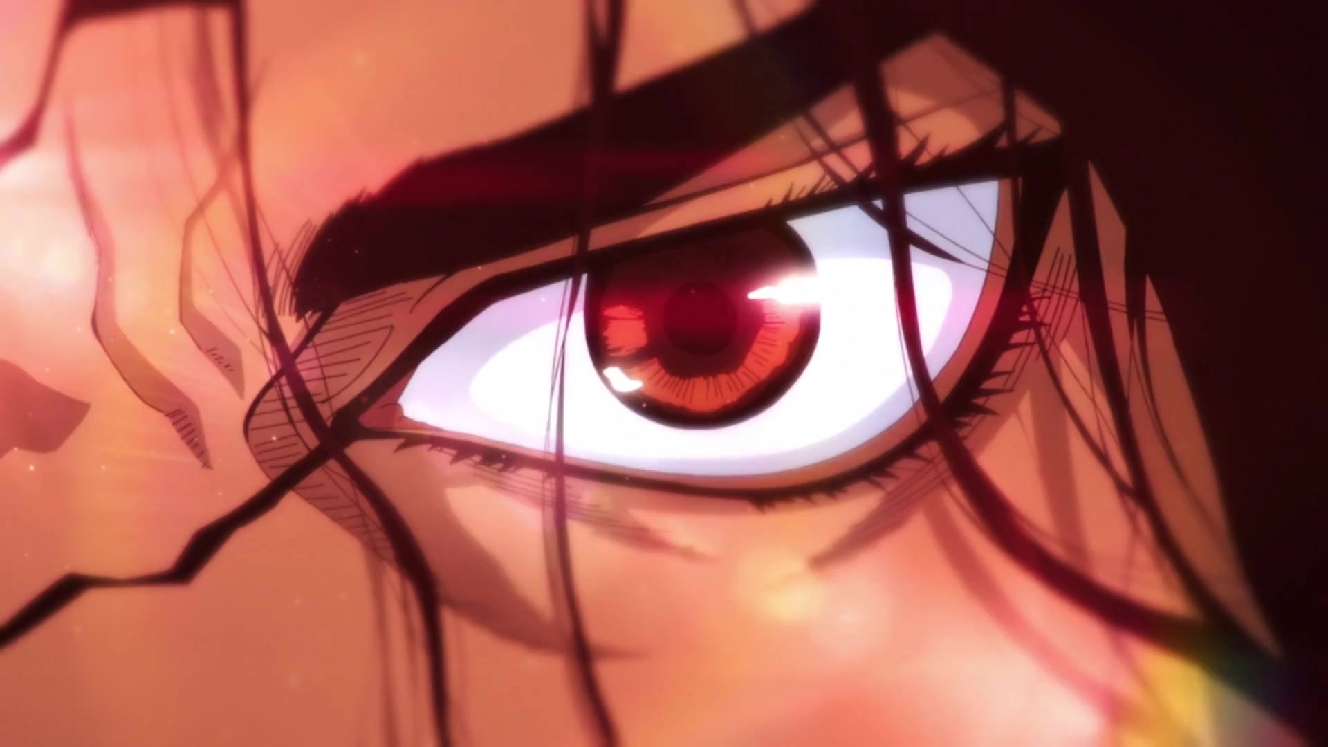 33.mp4